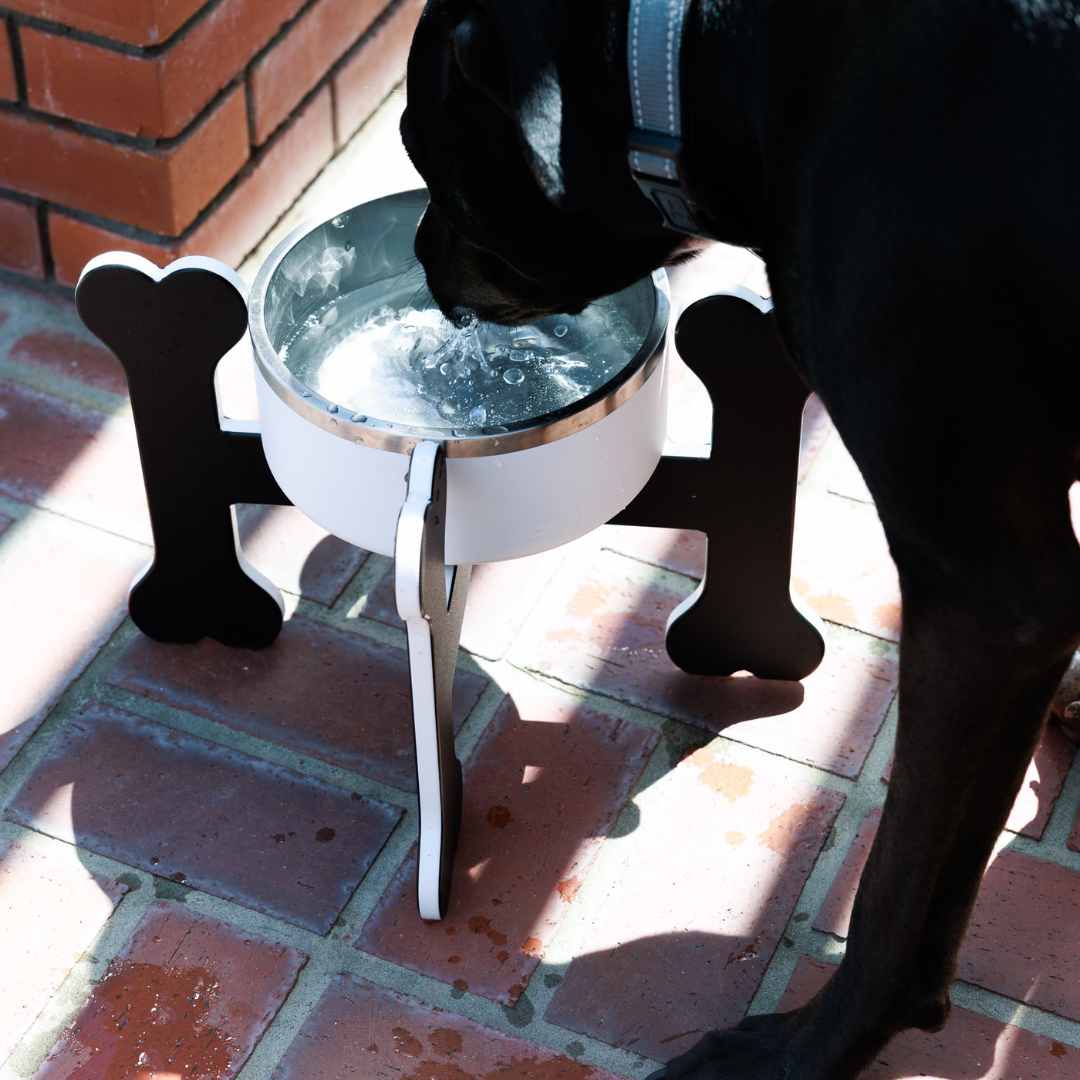 Medium Dog Bowl Holder
