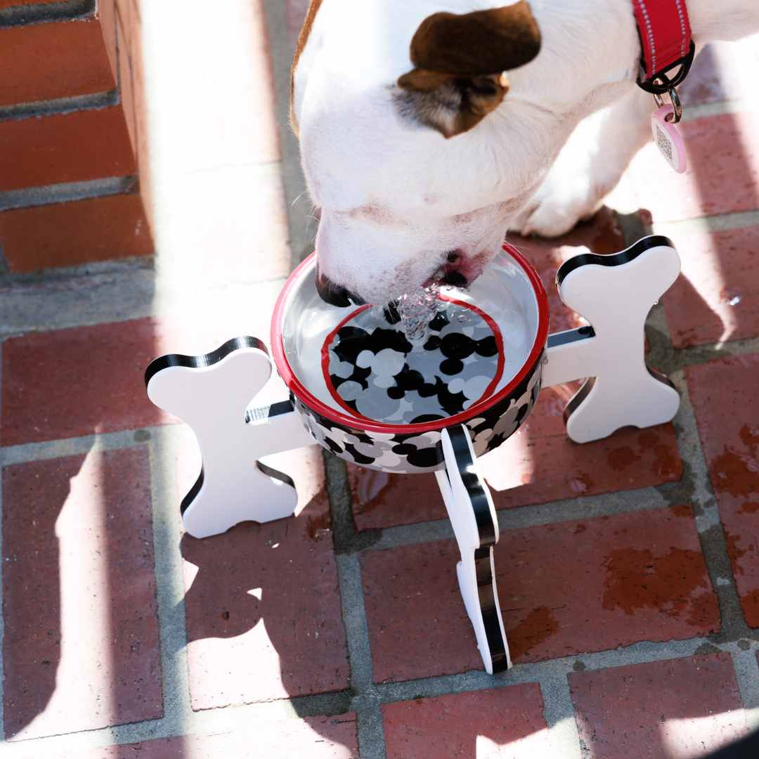 Small Dog Bowl Holder