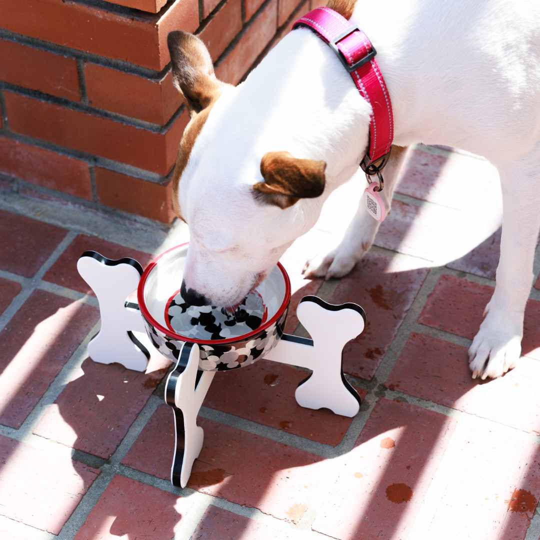 Small Dog Bowl Holder