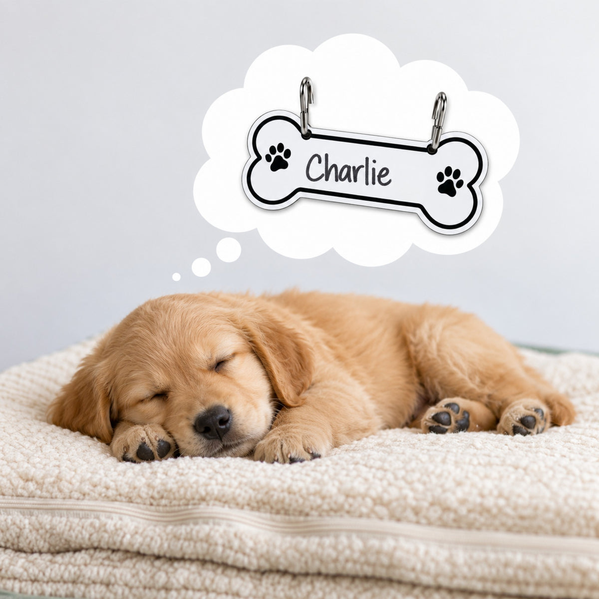 Aluminum Writable Dog Bone Crate Tag