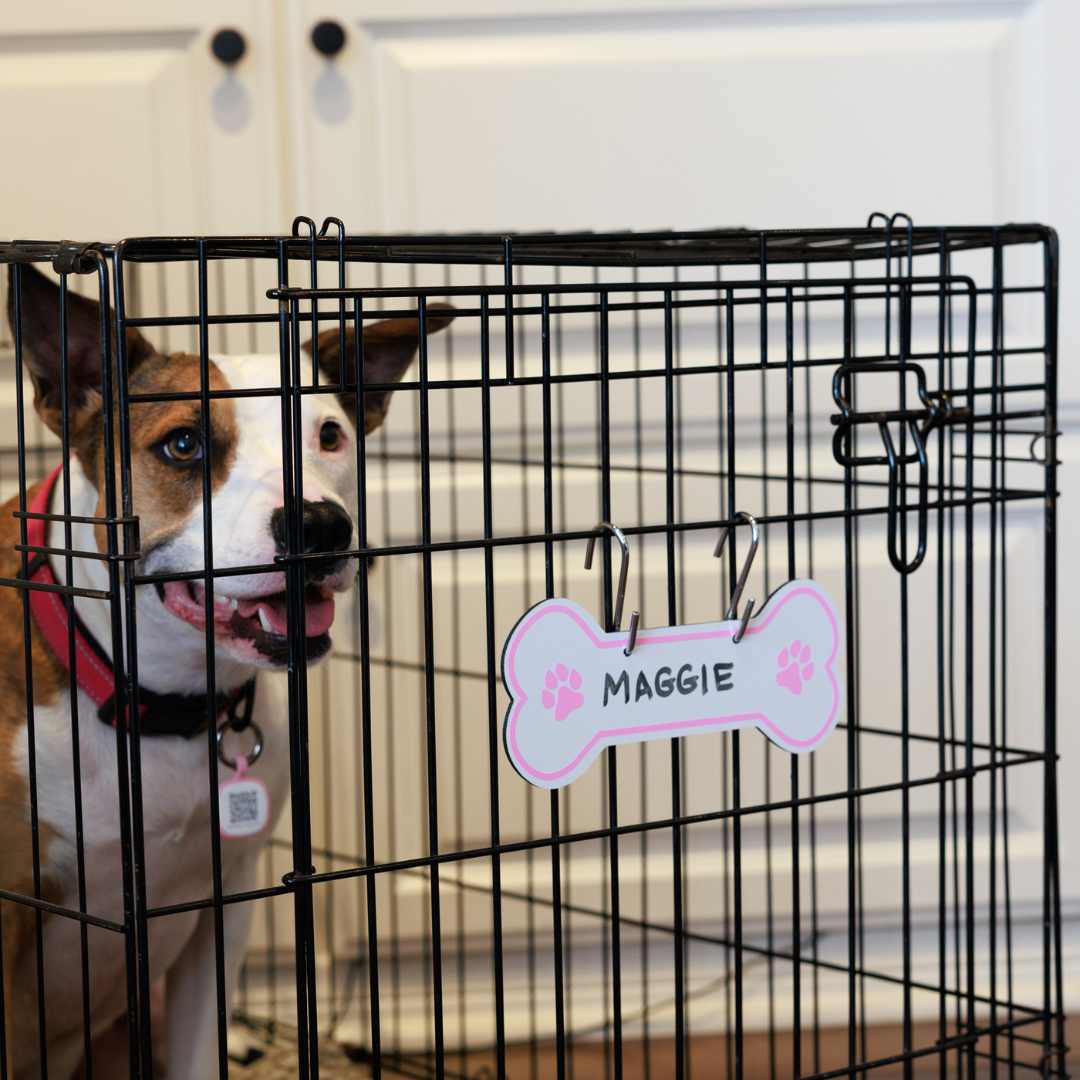 Aluminum Writable Dog Bone Crate Tag