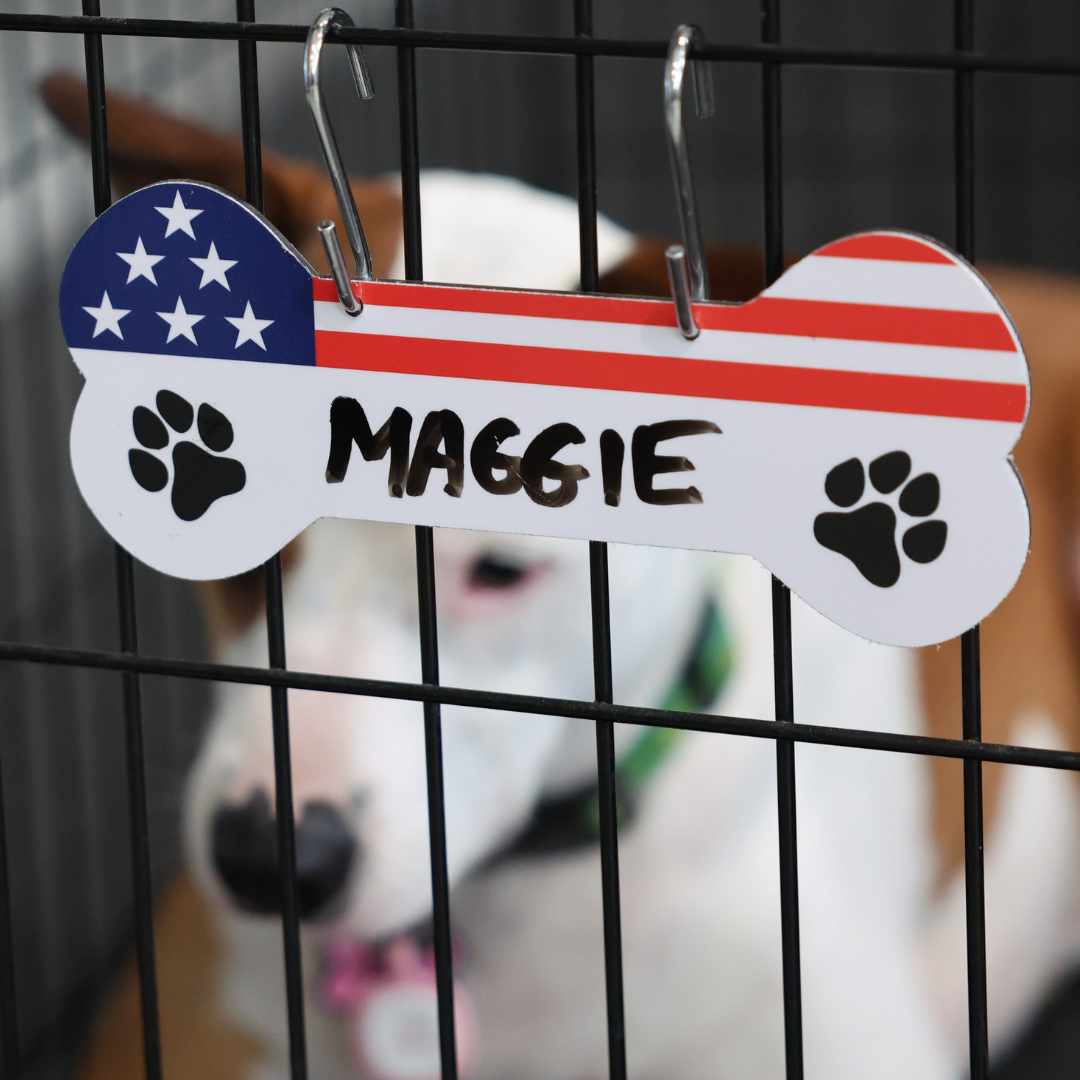 Aluminum Writable Dog Bone Crate Tag | Patriotic Personalized Pet ID Sign | Proud Paws Collection | 4th of July Dog Gifts