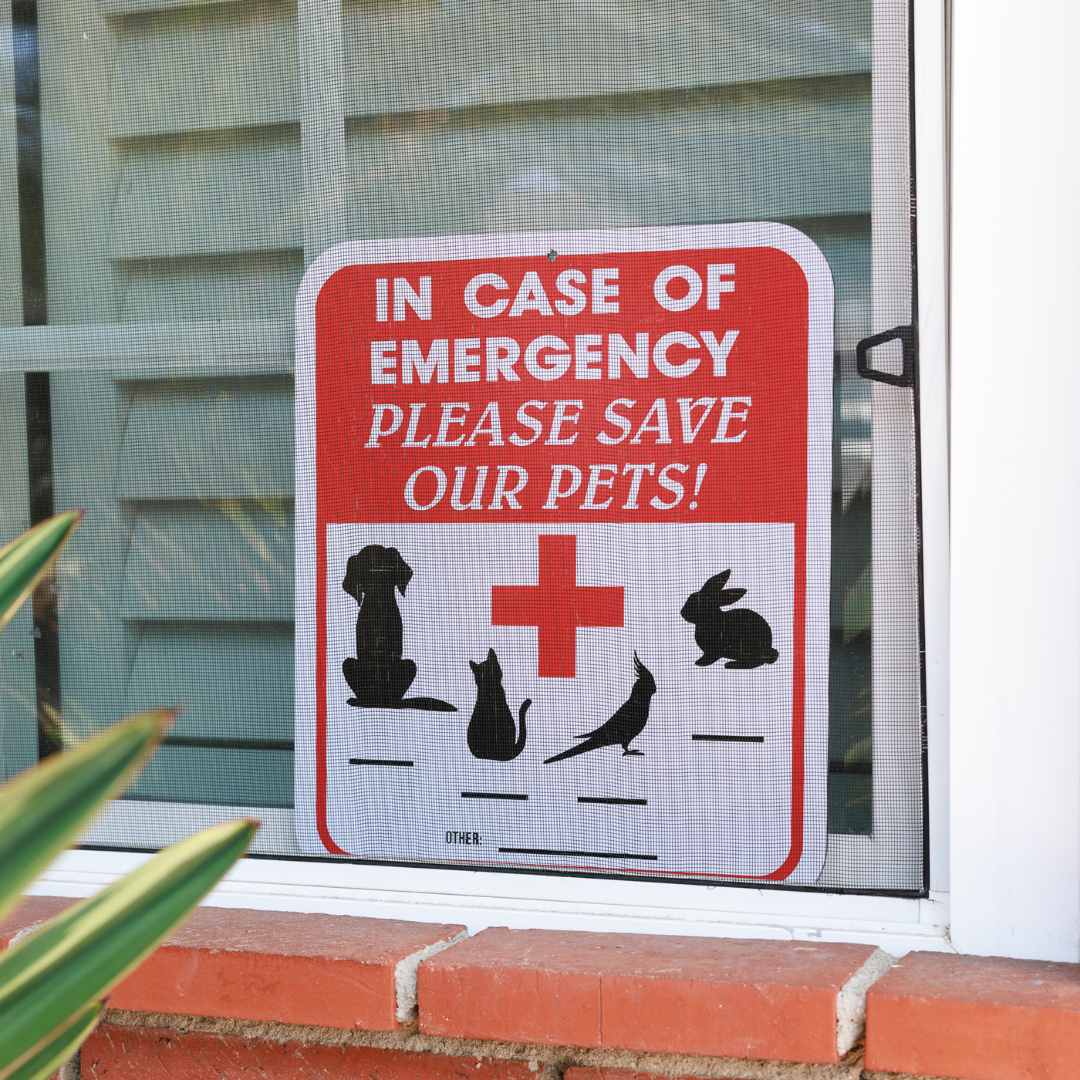 In Case of Emergency Please Rescue Our Pets Aluminum Sign - Pet Variety