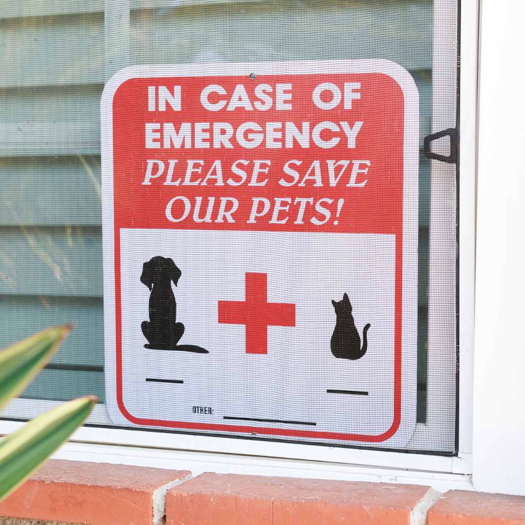 In Case of Emergency Please Rescue Our Pets Aluminum Sign - Dog & Cat