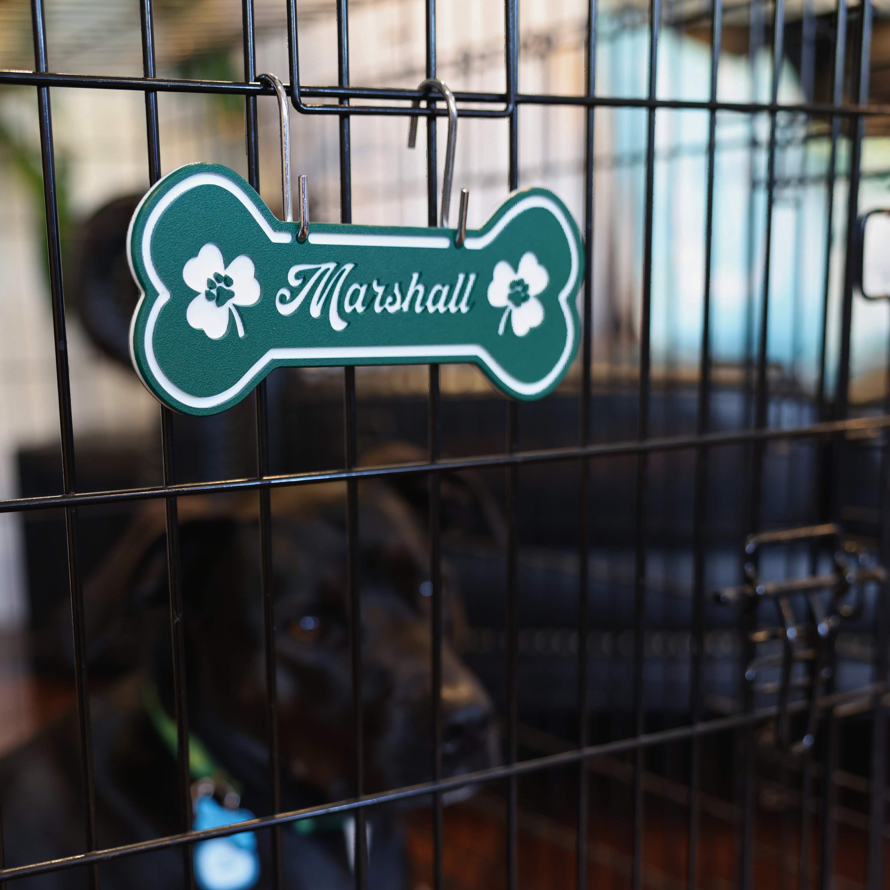 Personalized Dog Crate Tag (Laminate Plastic) – Custom Kennel Name Plate with Color Fill + Fun Fonts
