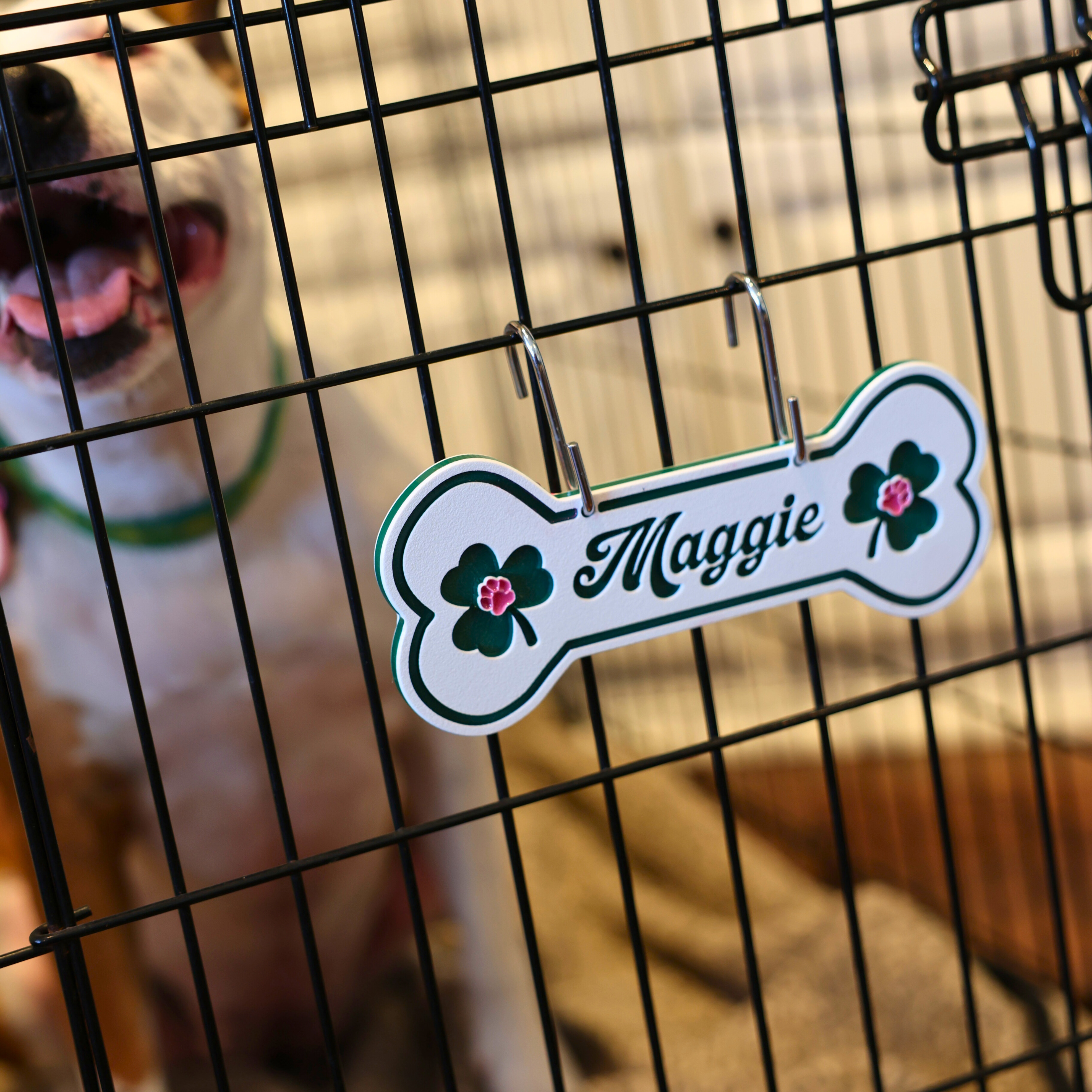 Personalized Dog Crate Tag (Laminate Plastic) – Custom Kennel Name Plate with Color Fill + Fun Fonts