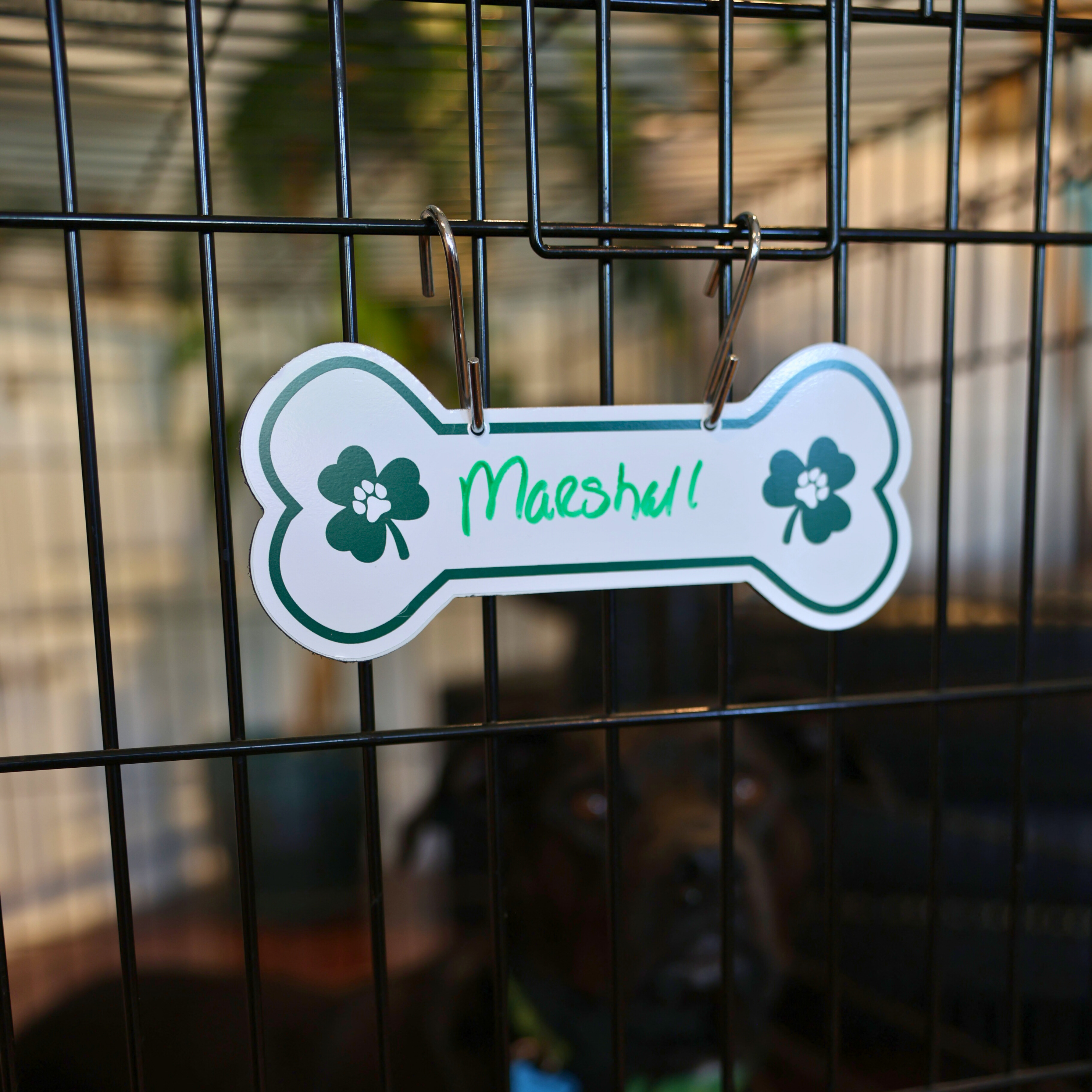 Aluminum Writable Dog Bone Crate Tag