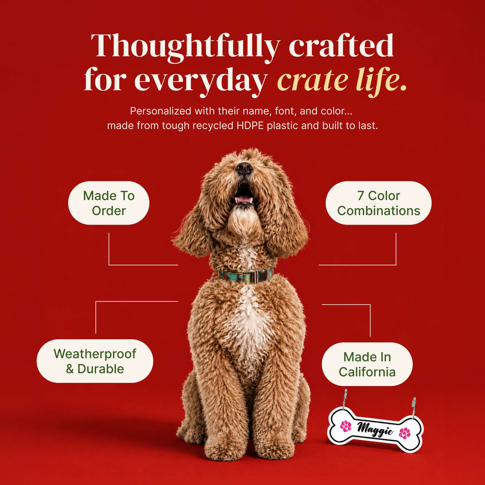 Personalized Dog Crate Tag – Custom Kennel Name Plate with Color Fill + Fun Fonts