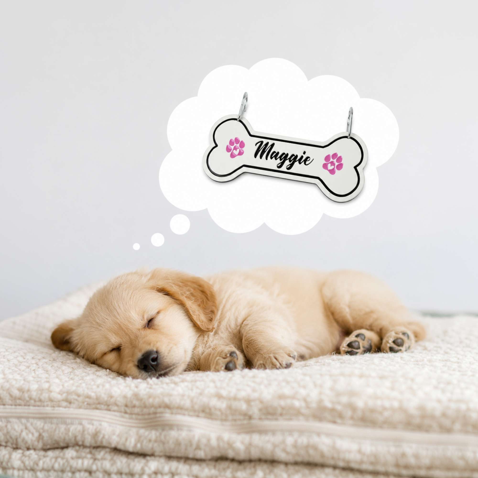 Personalized Dog Crate Tag – Custom Kennel Name Plate with Color Fill + Fun Fonts