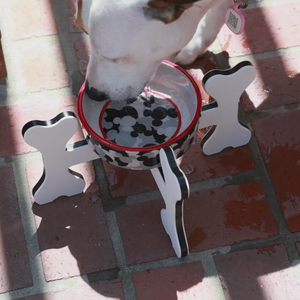 Small Dog Elevated Bowl Holder