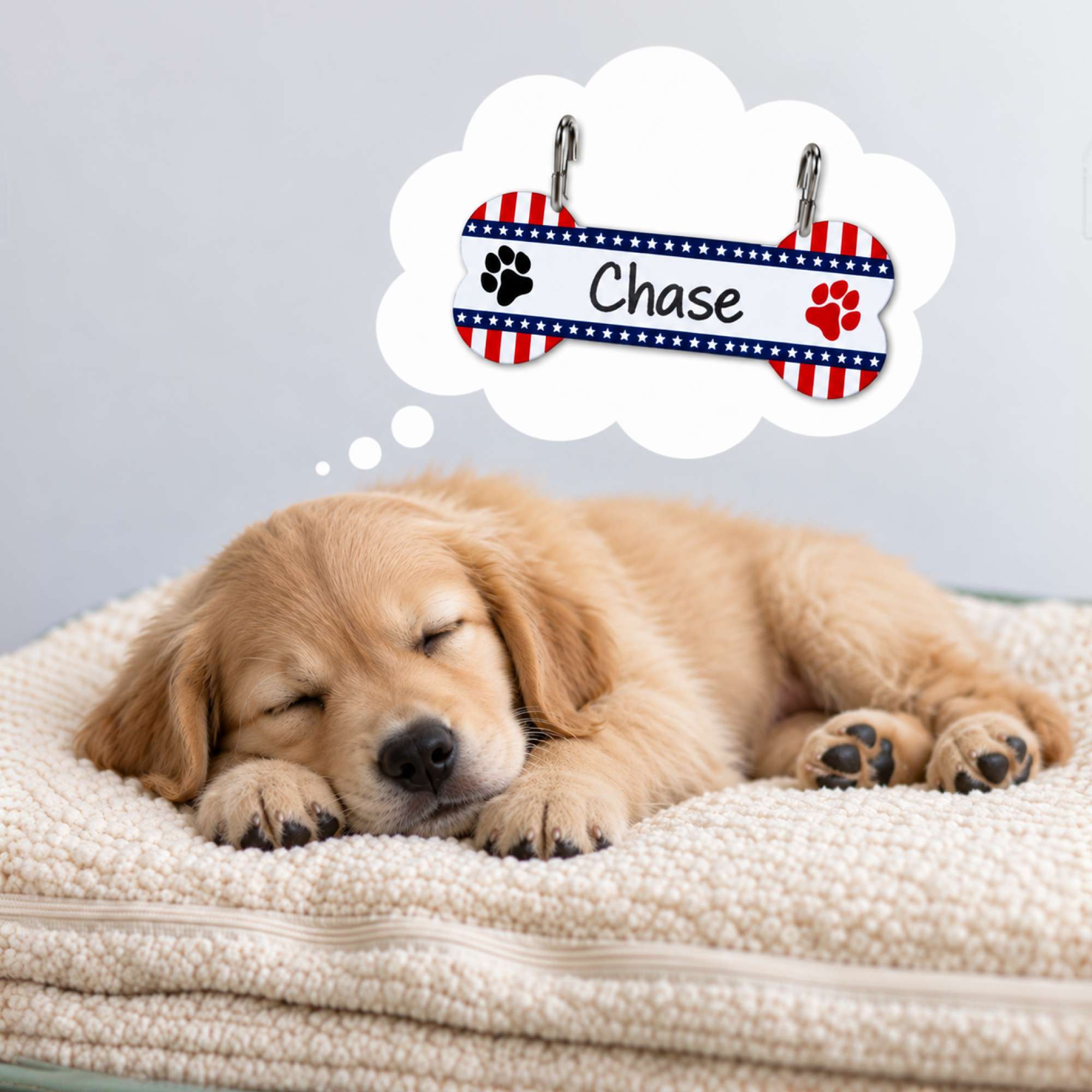 Aluminum Writable Patriotic Dog Bone Crate Tag